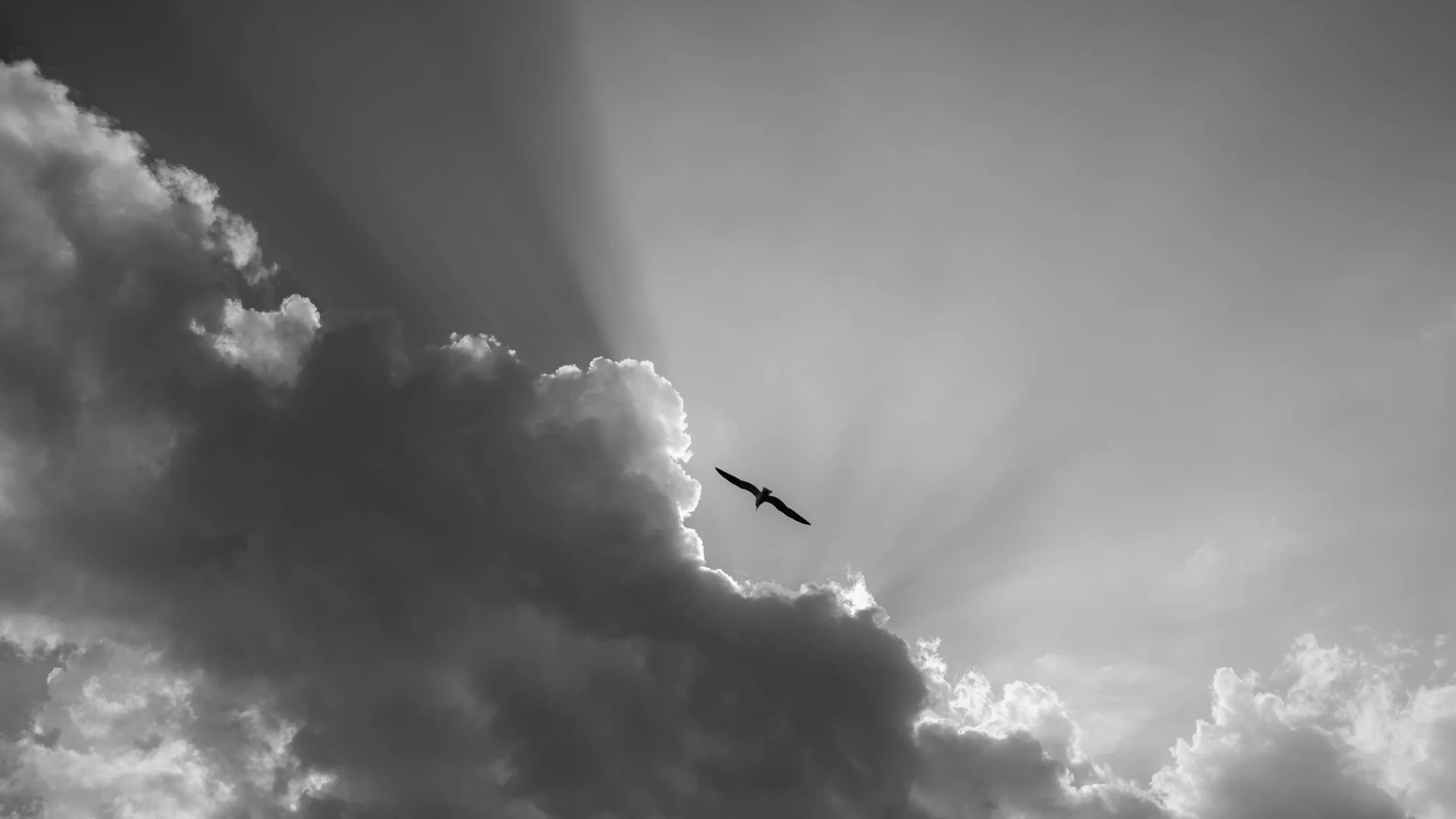 Nature 11