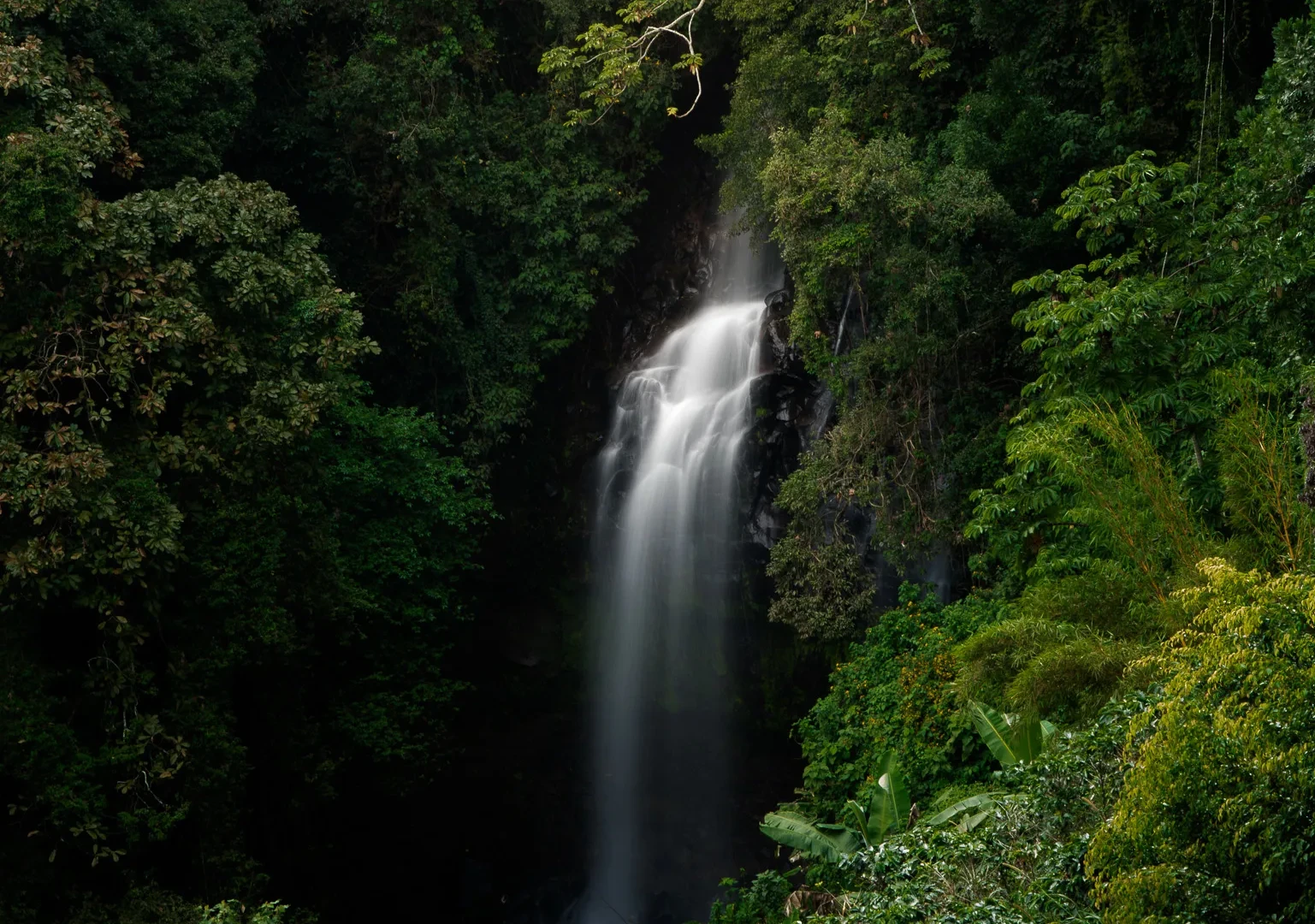 Nature 24