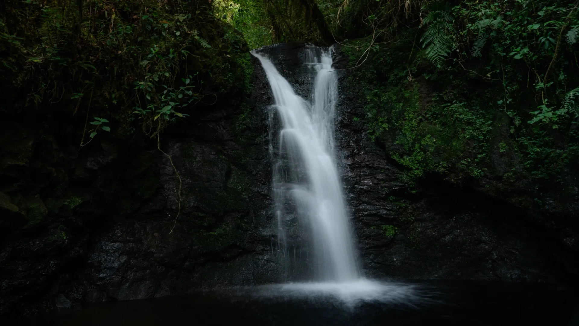 Nature 26