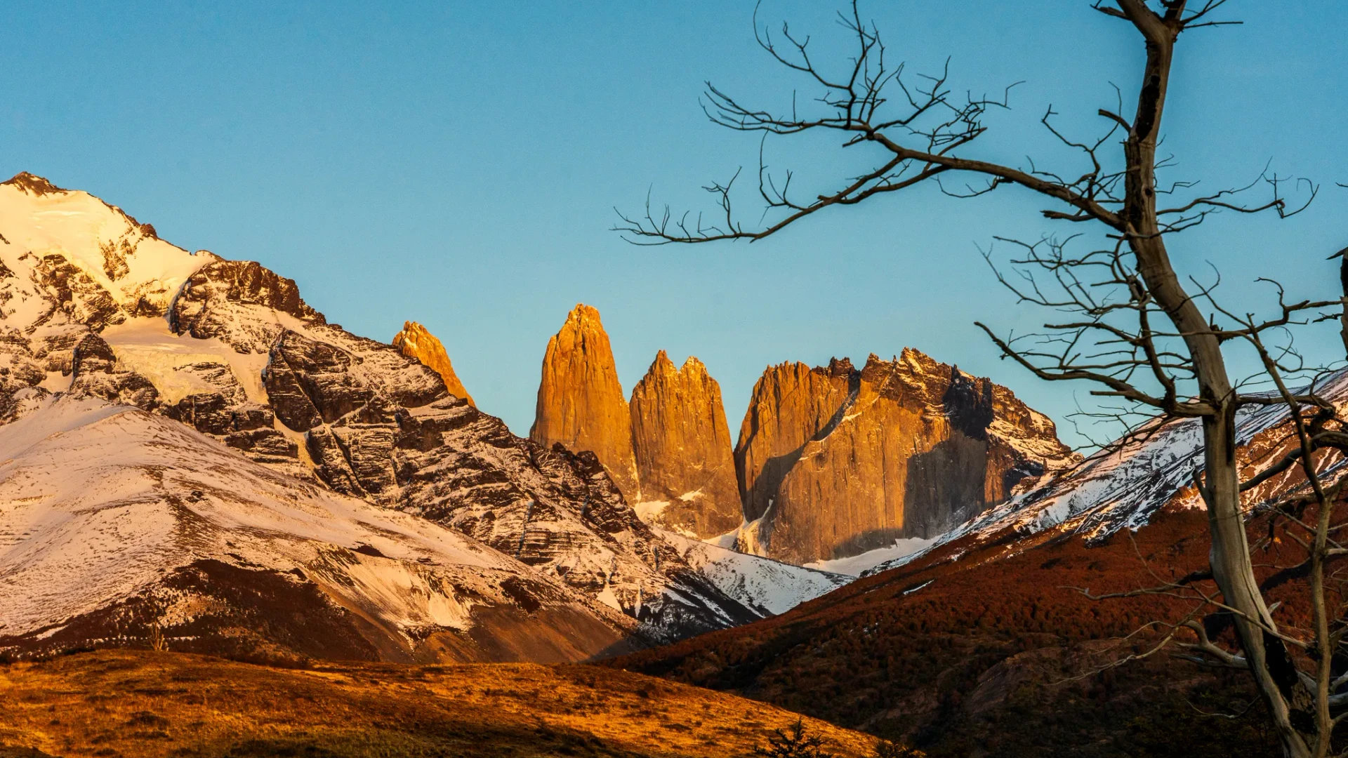 Nature 27