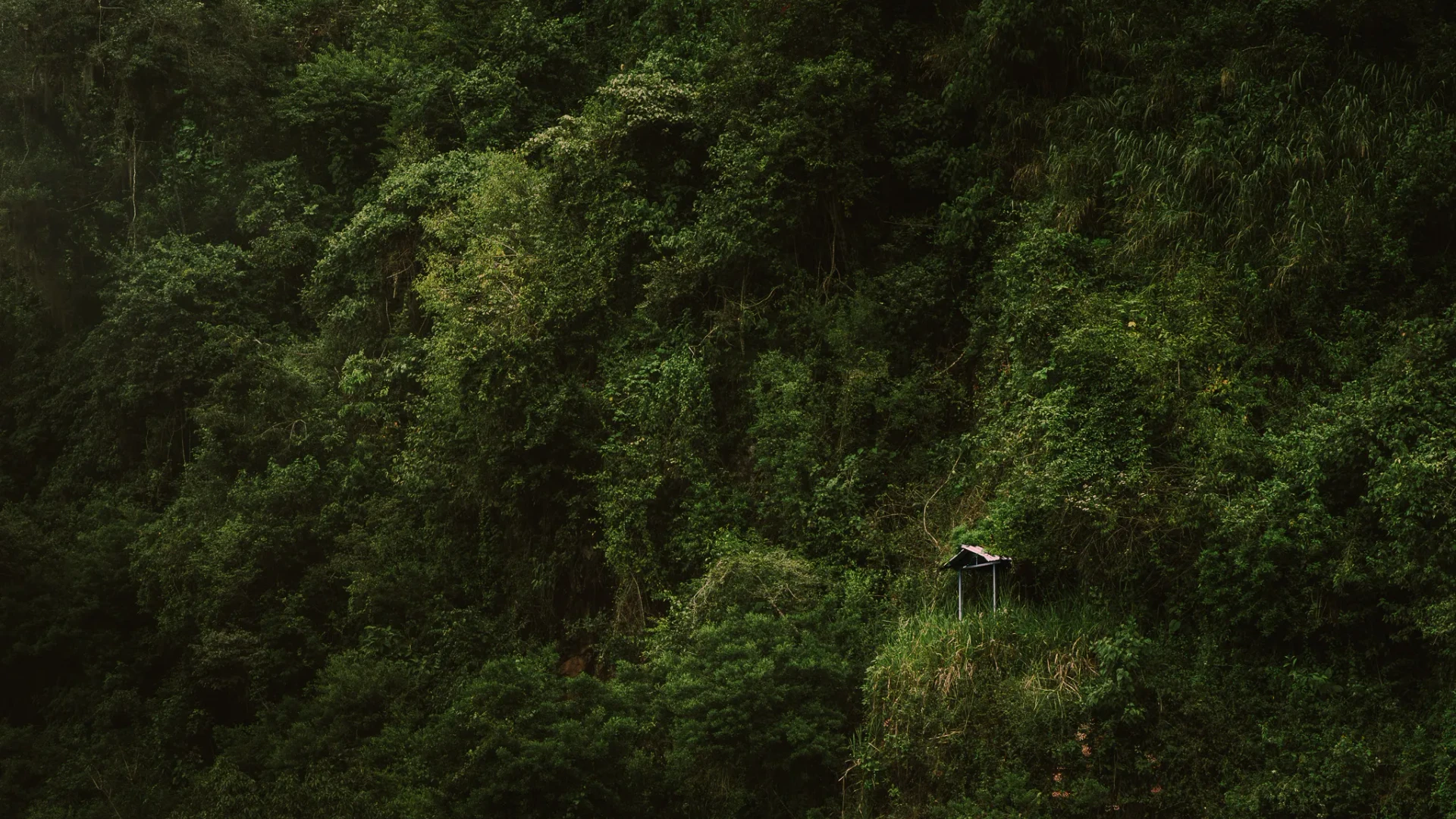 Nature 2